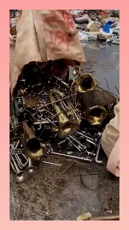 废品堆的乐器是什么意思，废物 乐器