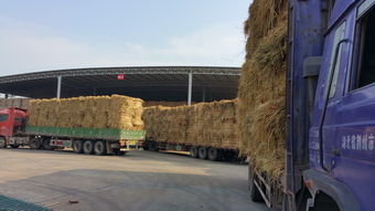荆州哪里有秸秆卖废品的地方，荆州市废品回收电话地址
