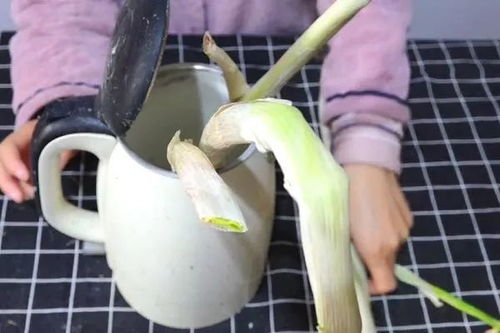 电壶废品利用方案，废电壶的用处