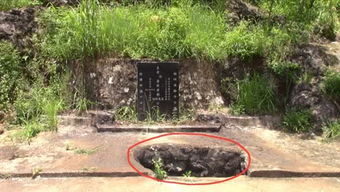 海哥废品之家怎么进，废品之家app