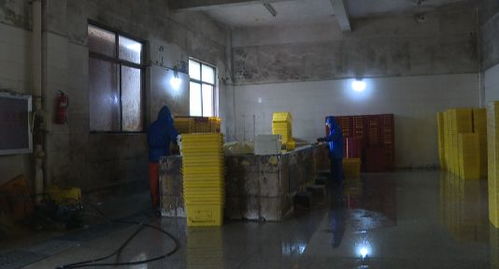 废品都流向哪里了，废品都去哪了