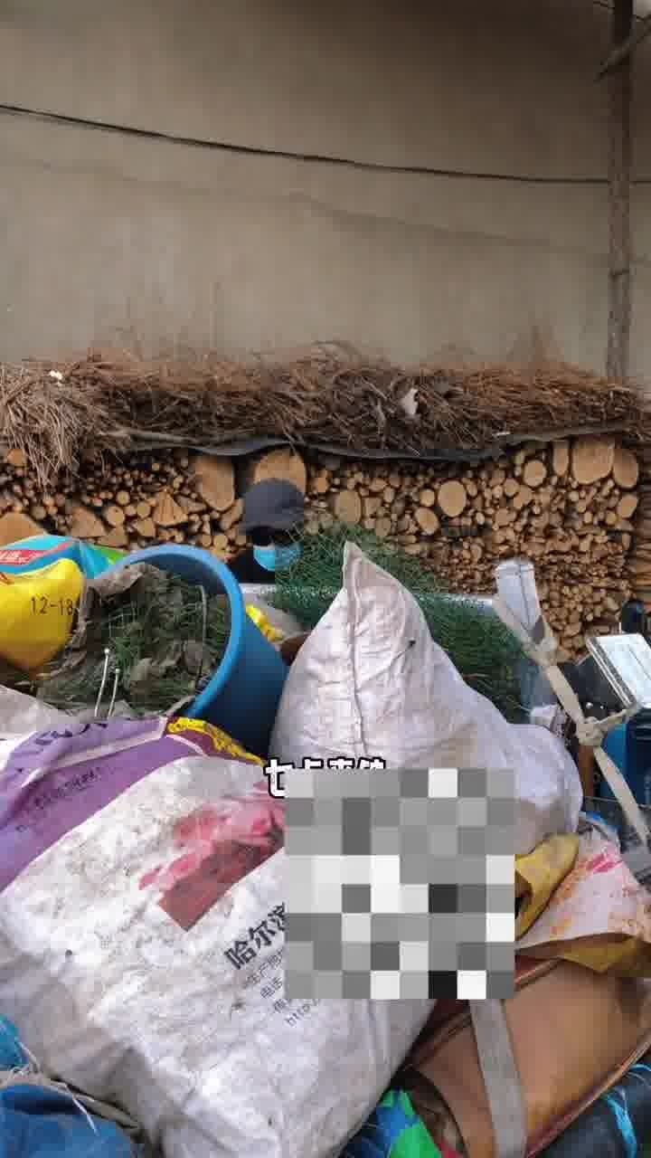 收废品的经验，收集废品