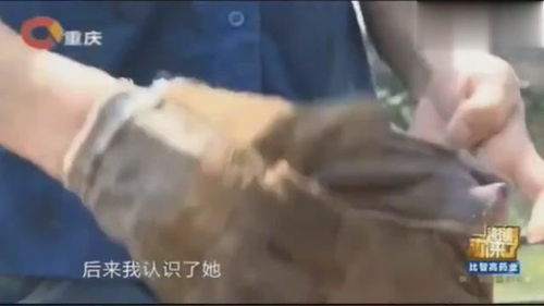 涂磊节目收废品小伙上台视频，收废品小伙上央视