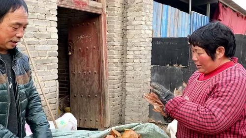 大妈拾废品图片大全，大妈捡废品拿狗饭碗