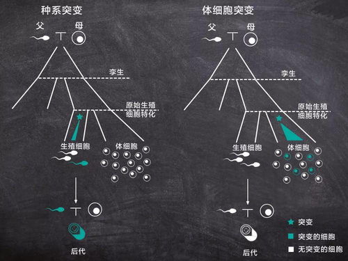 有关概率和废品的问题