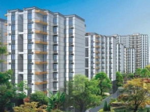 广西南宁碧翠园收废品电话号码，南宁市收废品站在哪里呢