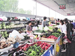 南宁收废品市场在哪里，南宁市收废品站在哪里呢