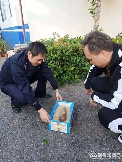 关于河北废品回收站的地址和电话