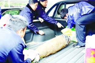 废品站的铁卖哪里，废品回收站的废铁卖到哪里