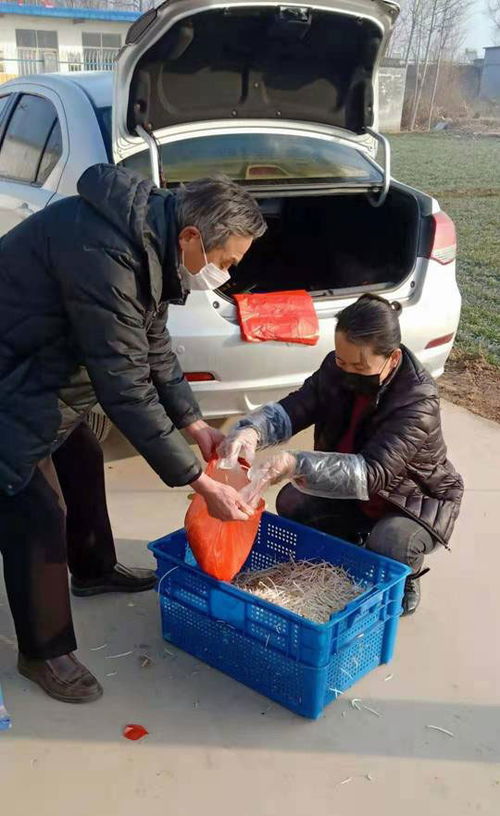 上庄废品收购站，黄庄收废品电话
