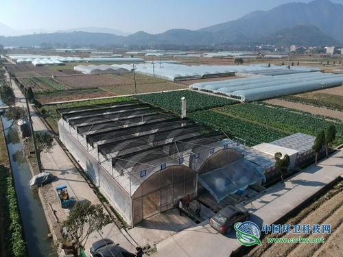 柴桥废品基地在哪里，柴桥旧货市场
